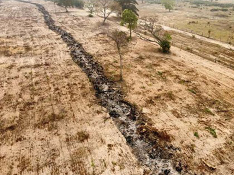 MPMS instaura dois inquéritos civis para apurar incêndios que devastaram 86 hectares no Pantanal de Corumbá