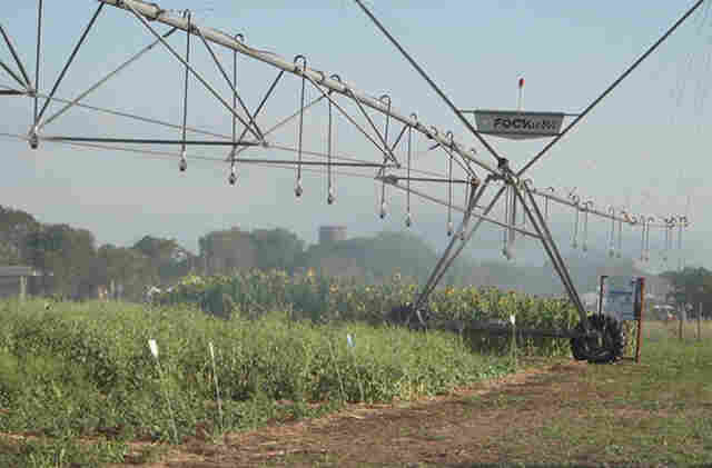 Vitrines Tecnol&oacute;gicas do Pantanal Tech MS trazem inova&ccedil;&atilde;o a servi&ccedil;o da sustentabilidade no bioma