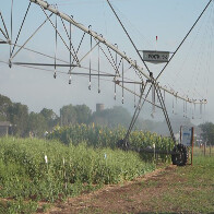 Vitrines Tecnol&oacute;gicas do Pantanal Tech MS trazem inova&ccedil;&atilde;o a servi&ccedil;o da sustentabilidade no bioma