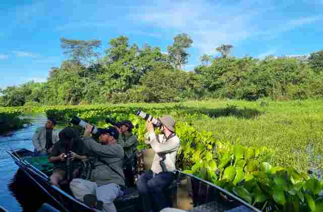 Famtour internacional destaca o Pantanal de MS como destino estrat&eacute;gico para observa&ccedil;&atilde;o de aves