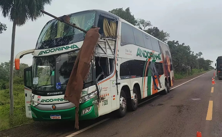 Acidente envolvendo ônibus e carreta deixa mortos e feridos na BR-262