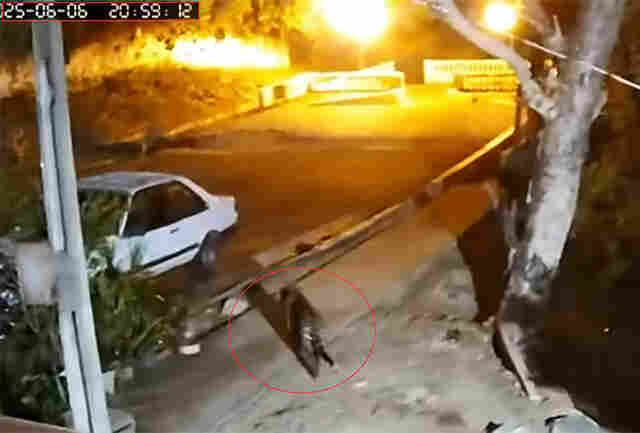 C&acirc;mara &eacute; parceira em campanhas de conscientiza&ccedil;&atilde;o para afugentar on&ccedil;as da &aacute;rea urbana