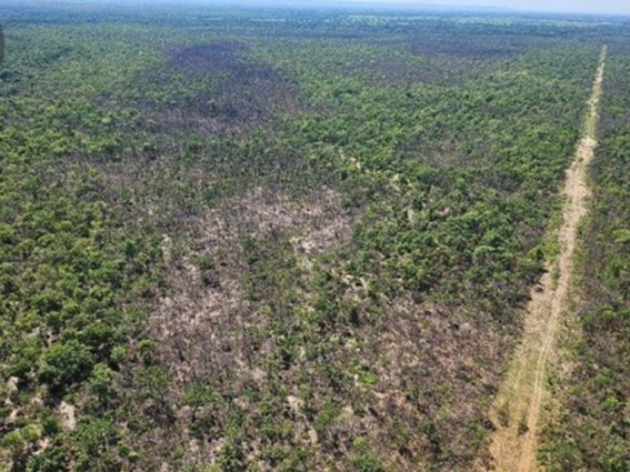 Ministério Público apura incêndio que devastou mais de 2 mil hectares no Pantanal