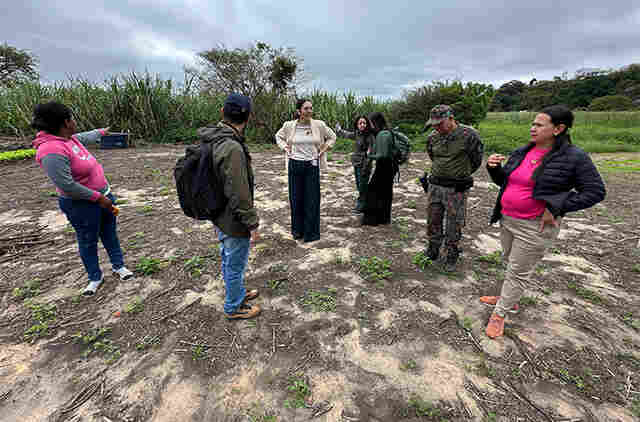 &Oacute;rg&atilde;os alinham a&ccedil;&otilde;es para manejo de on&ccedil;as pr&oacute;ximas a resid&ecirc;ncias em Corumb&aacute;