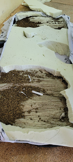 Advogada é flagrada tentando entregar colchão recheado de maconha na Penitenciária de Três Lagoas