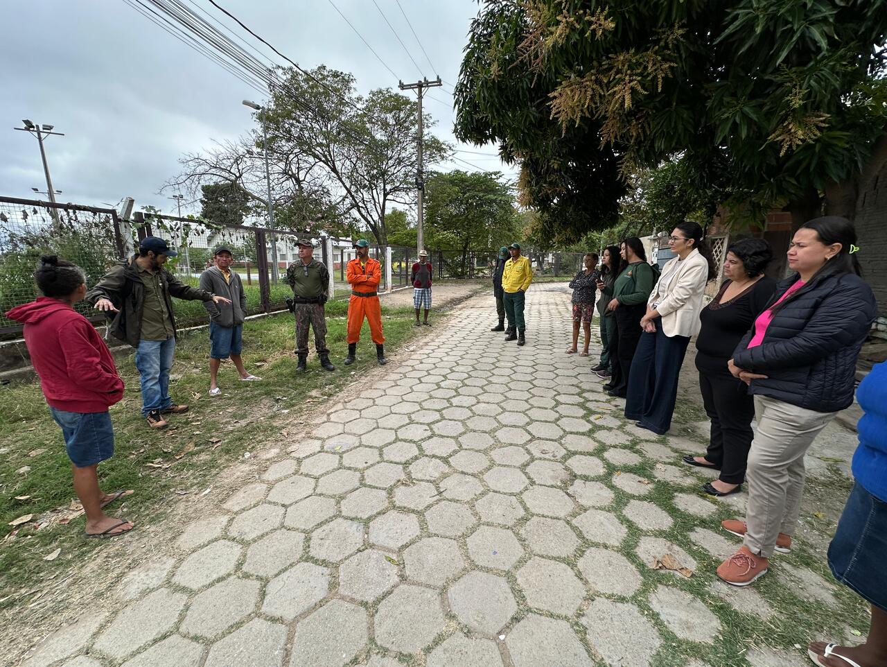 Órgãos alinham ações para manejo de onças próximas a residências em Corumbá