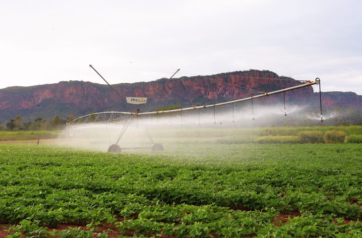 Pantanal Tech MS se consolida como vitrine do agro sustent&aacute;vel, fomento tecnol&oacute;gico e economia criativa