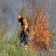 Imasul publica mapa de &aacute;reas priorit&aacute;rias para execu&ccedil;&atilde;o da queima prescrita no Pantanal