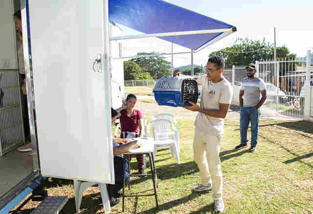 Corumb&aacute; receber&aacute; Caravana da Castra&ccedil;&atilde;o com 1.400 vagas gratuitas para c&atilde;es e gatos