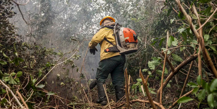 Governo federal fortalece integração nacional para prevenção e combate a incêndios