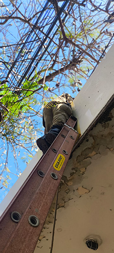 Morador busca ajuda dos bombeiros para resgatar filhotes de gato no telhado em Corumb&aacute;