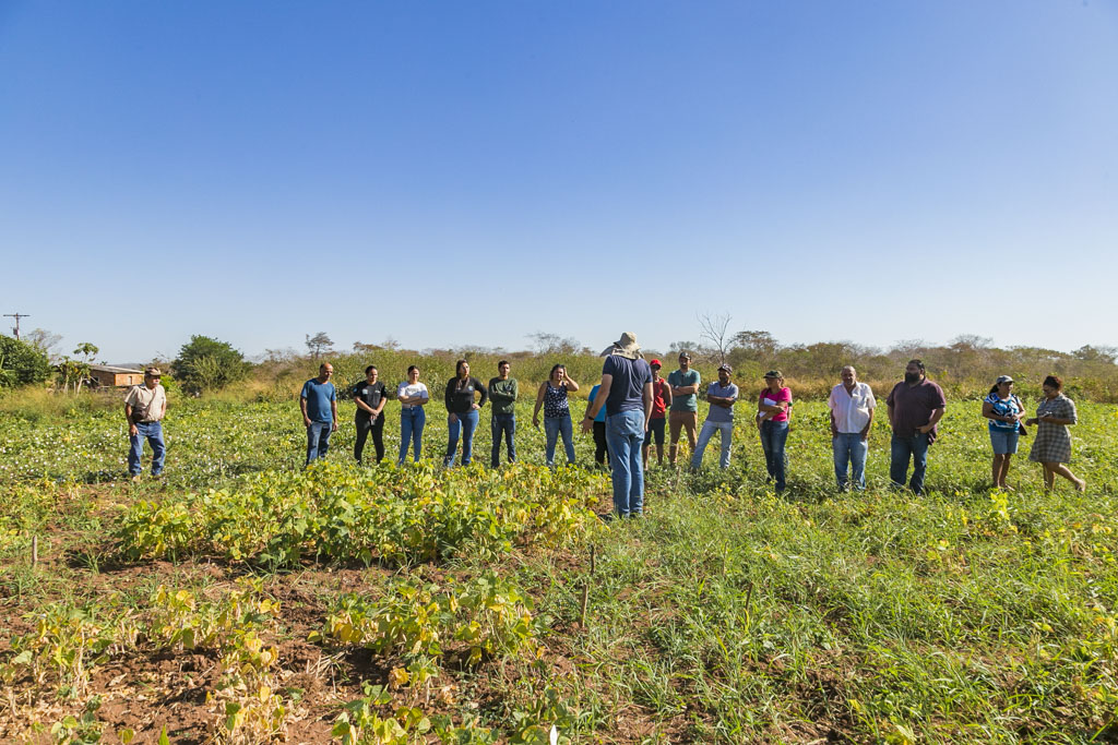 Prefeitura participa de Dia de Campo sobre variedades de feijão no Assentamento Taquaral
