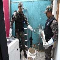 Pol&iacute;cia Militar Ambiental lembra que animal silvestre n&atilde;o &eacute; pet e esclarece quando deve ser capturado