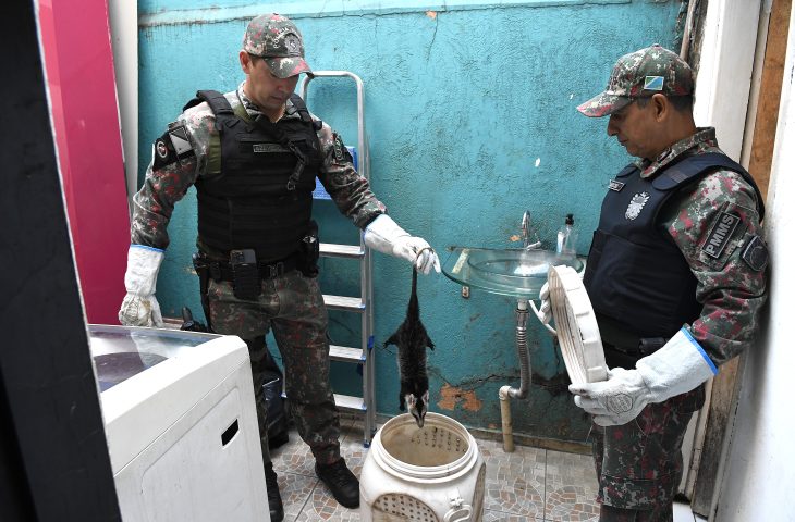 Pol&iacute;cia Militar Ambiental lembra que animal silvestre n&atilde;o &eacute; pet e esclarece quando deve ser capturado