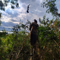 Gavi&atilde;o enroscado em linhas foi resgatado pelos bombeiros na barranca do Rio Paraguai em Corumb&aacute;