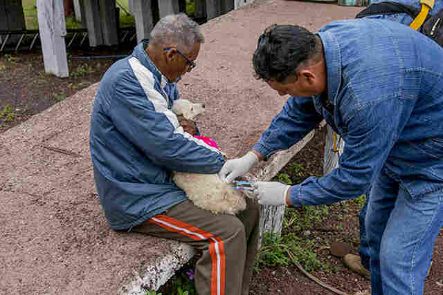 Sa&uacute;de inicia dia 1&deg; vacina&ccedil;&atilde;o antirr&aacute;bica; agentes percorrem bairros de Corumb&aacute;