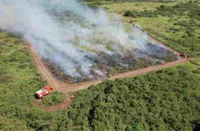 Governo de MS suspende queima controlada at&eacute; novembro e amplia restri&ccedil;&atilde;o no Pantanal para dezembro
