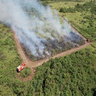Governo de MS suspende queima controlada at&eacute; novembro e amplia restri&ccedil;&atilde;o no Pantanal para dezembro