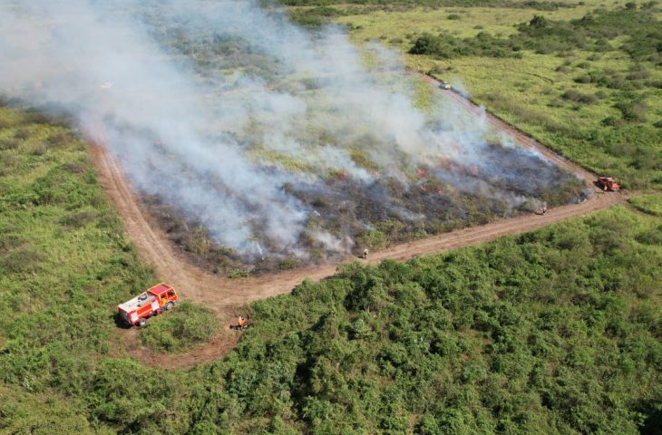 Governo de MS suspende queima controlada at&eacute; novembro e amplia restri&ccedil;&atilde;o no Pantanal para dezembro
