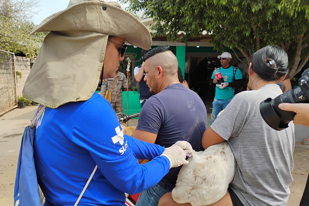 Campanha binacional vacina mais de 1,7 mil animais contra a raiva na Bol&iacute;via