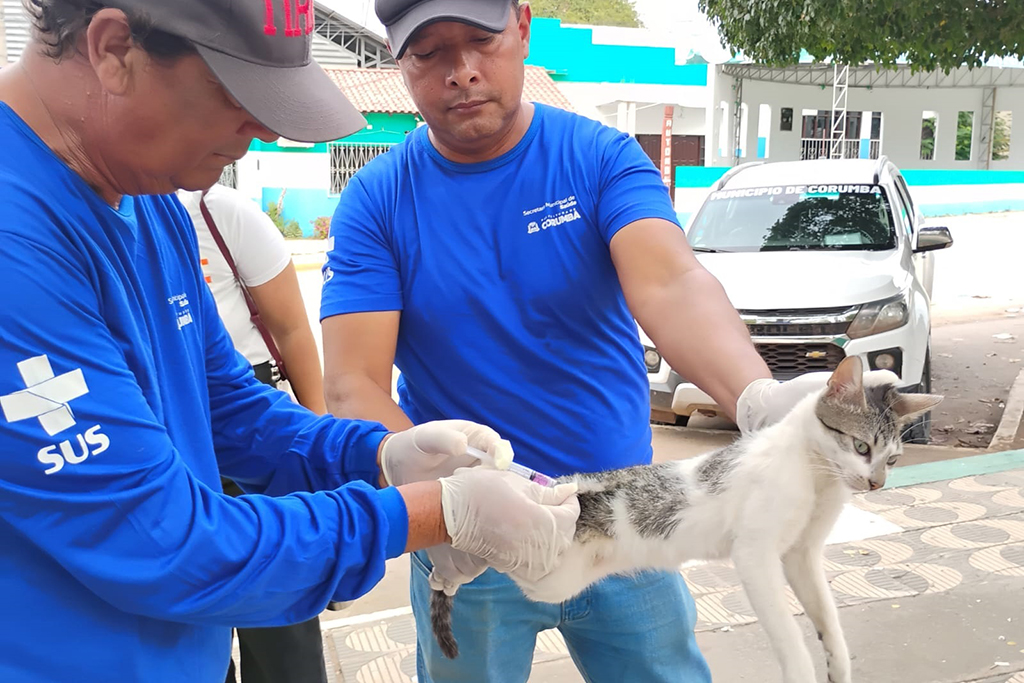 Campanha binacional vacina mais de 1,7 mil animais contra a raiva na Bol&iacute;via