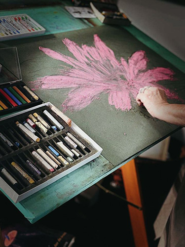 Artista plástica Lúcia Martins leva exposição inédita de MS para Florianópolis