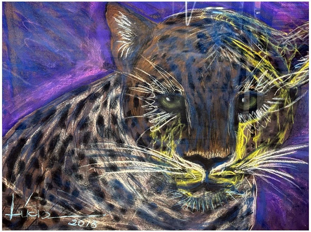 Artista plástica Lúcia Martins leva exposição inédita de MS para Florianópolis