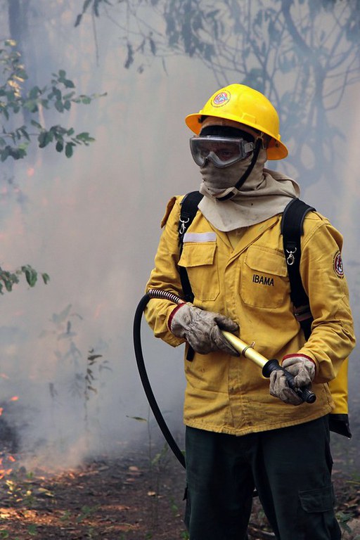 Brasil registra queda de 56,8% nos focos de calor e 61% nas &aacute;reas queimadas em julho