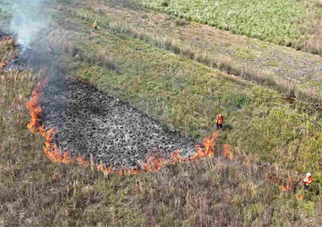 Agosto Cinza: MS registra at&eacute; mil inc&ecirc;ndios no m&ecirc;s mais cr&iacute;tico e refor&ccedil;a alerta 