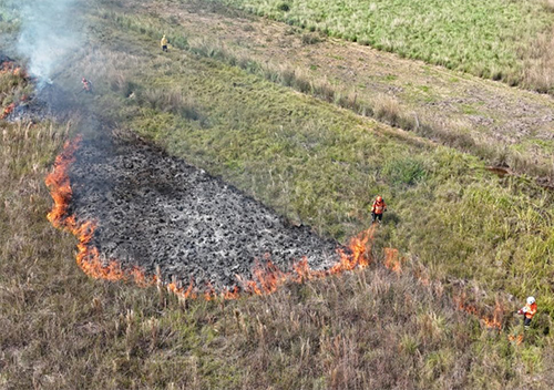 Agosto Cinza: MS registra at&eacute; mil inc&ecirc;ndios no m&ecirc;s mais cr&iacute;tico e refor&ccedil;a alerta 