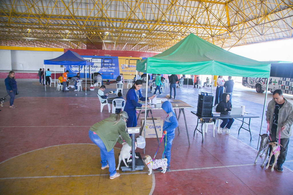 Caravana da Castra&ccedil;&atilde;o amplia vagas e faz atendimento gratuito para c&atilde;es e gatos em Corumb&aacute;