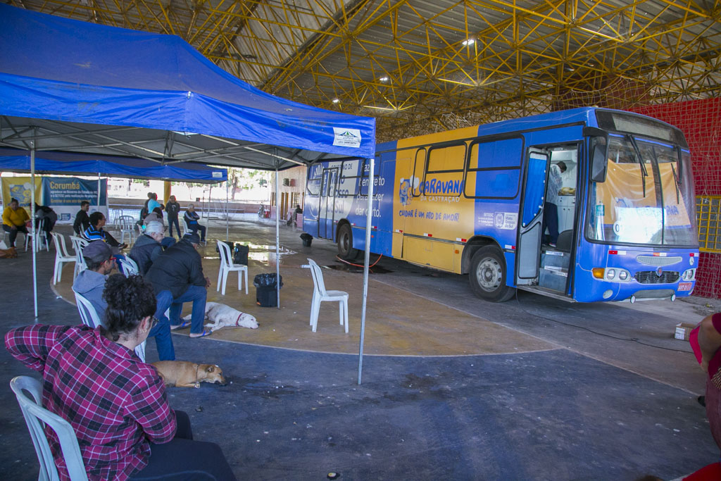 Caravana da Castra&ccedil;&atilde;o amplia vagas e faz atendimento gratuito para c&atilde;es e gatos em Corumb&aacute;