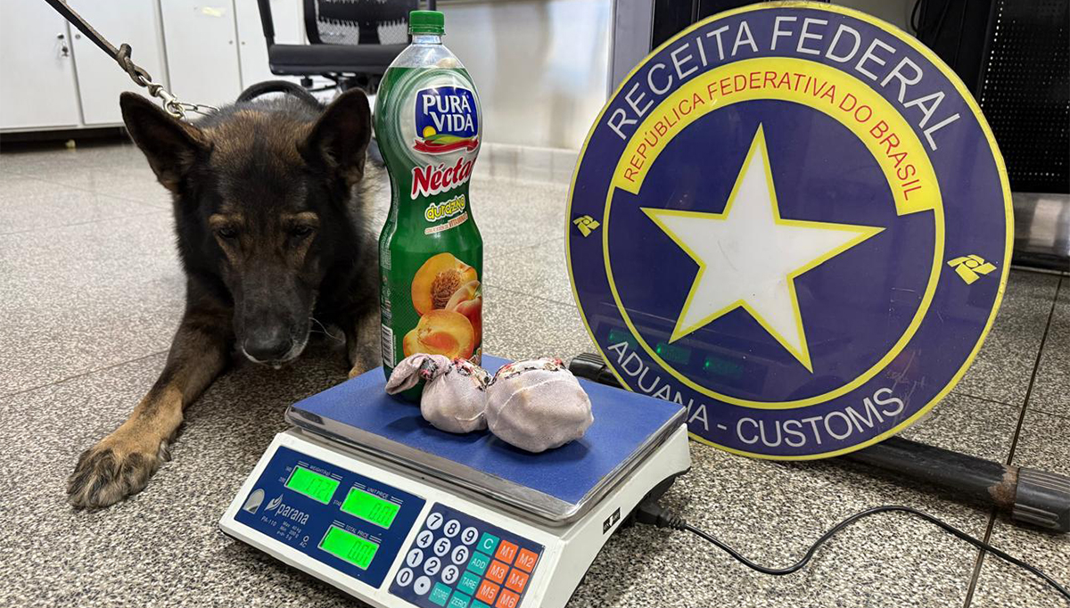 Opera&ccedil;&atilde;o de fiscaliza&ccedil;&atilde;o no Posto Esdras apreende drogas, mercadorias irregulares e fetos de Ilhama 