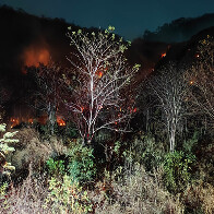 Bombeiros registram sete ocorr&ecirc;ncias de inc&ecirc;ndio em vegeta&ccedil;&atilde;o na &aacute;rea urbana de Corumb&aacute; nas &uacute;ltimas 24 horas