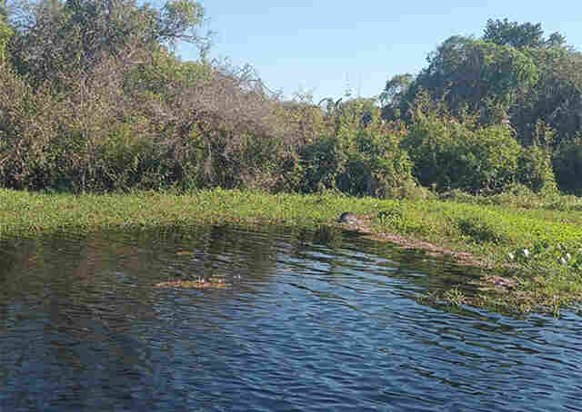 Corpo &eacute; encontrado boiando na regi&atilde;o do Paraguai Mirim em Corumb&aacute;