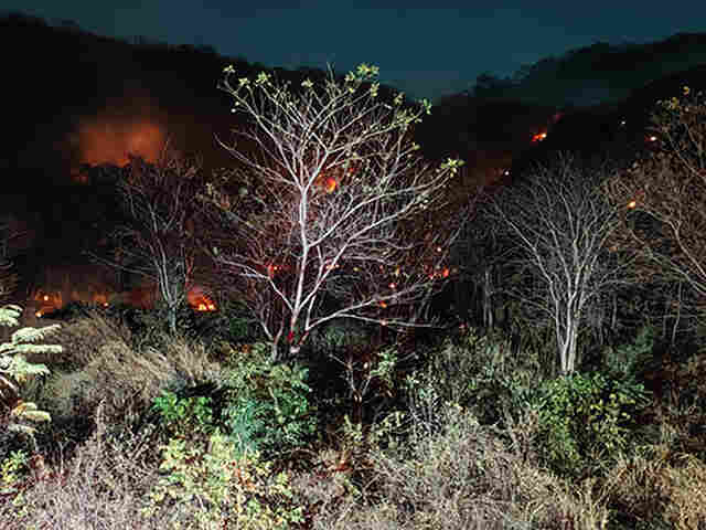 Bombeiros registram sete ocorr&ecirc;ncias de inc&ecirc;ndio em vegeta&ccedil;&atilde;o na &aacute;rea urbana de Corumb&aacute; nas &uacute;ltimas 24 horas