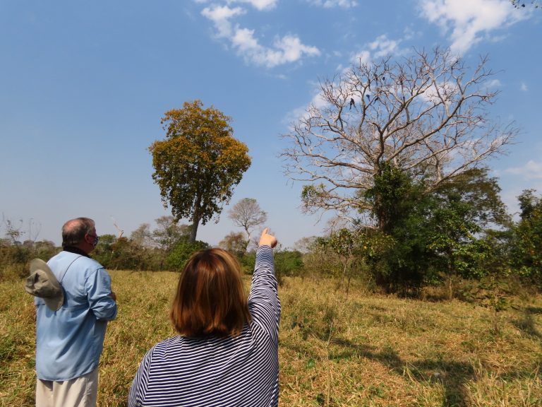 1&ordm; Big Day das Araras Azuis acontece dias 16 e 17 de agosto no Brasil, Paraguai e Bol&iacute;via