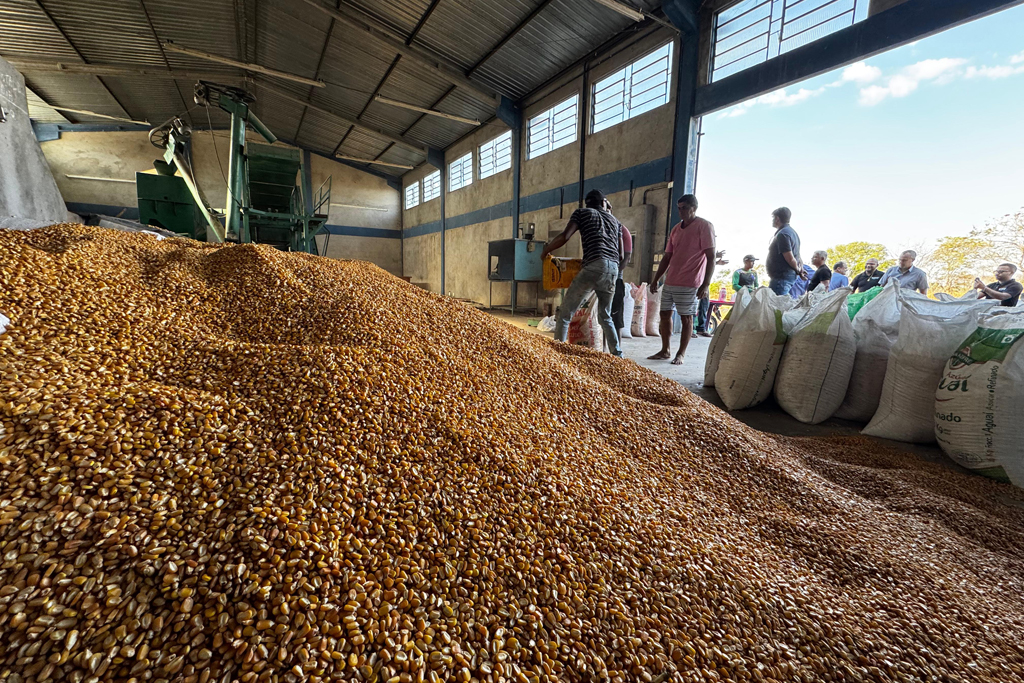 Prefeitura de Corumb&aacute; confirma investimento de R$ 600 mil na agricultura familiar