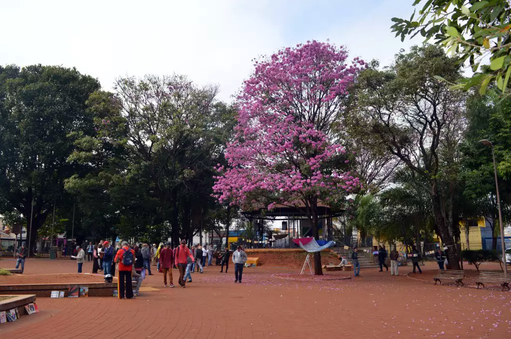 IHGMS distribui livros em comemora&ccedil;&atilde;o ao Dia do Escritor na Pra&ccedil;a Ary Coelho em Campo Grande  
