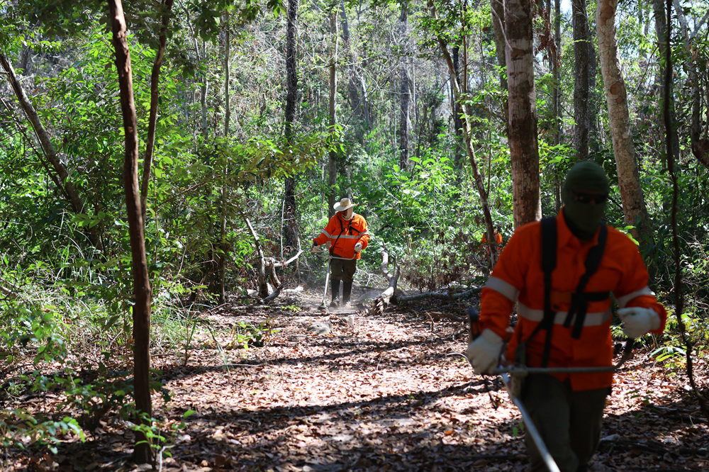 Parceria entre IHP e On&ccedil;afari busca ampliar a&ccedil;&otilde;es de preven&ccedil;&atilde;o de inc&ecirc;ndios no Pantanal