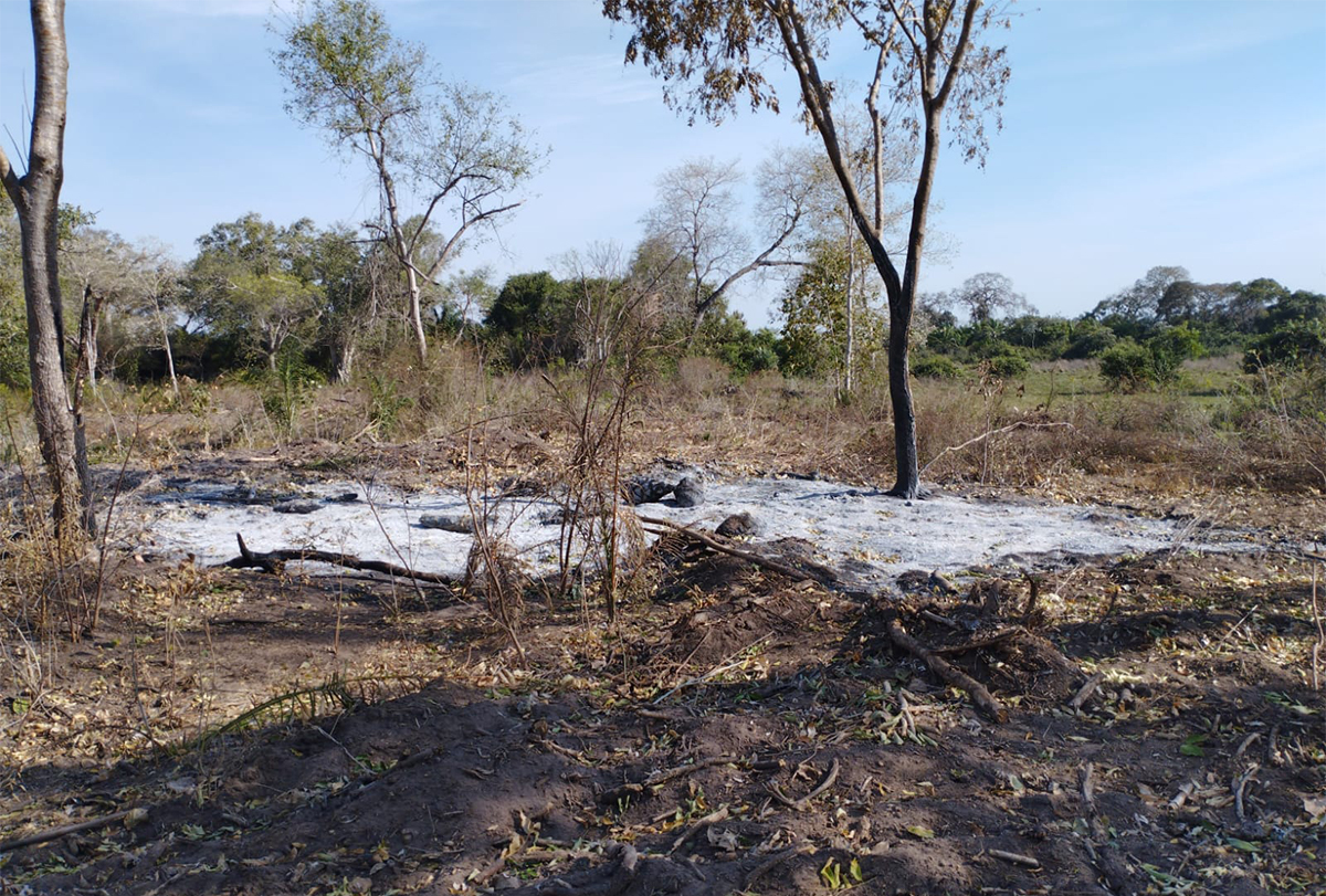A&ccedil;&atilde;o integrada resulta em autua&ccedil;&atilde;o por queima ilegal em &aacute;rea rural de Corumb&aacute;