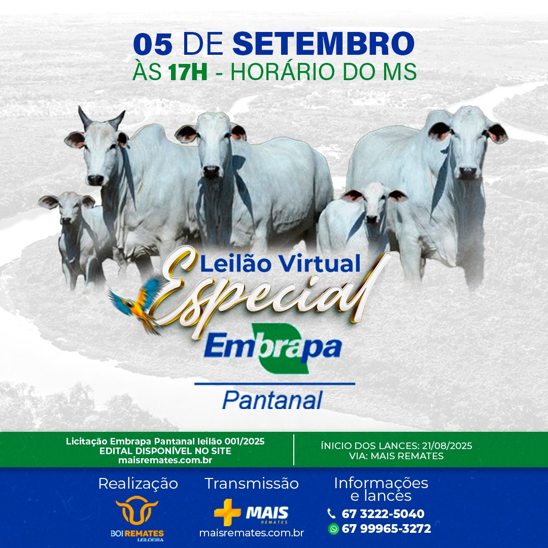 Embrapa Pantanal realiza leil&atilde;o virtual de bovinos no dia 5 de setembro