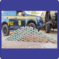 PRF apreende mais de 460 Kg de coca&iacute;na e skunk durante fiscaliza&ccedil;&atilde;o na BR-262