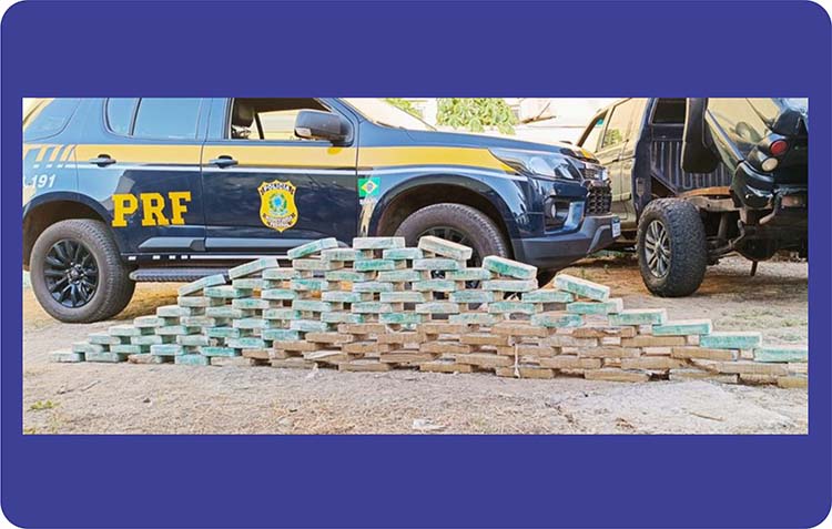 PRF apreende mais de 460 Kg de coca&iacute;na e skunk durante fiscaliza&ccedil;&atilde;o na BR-262