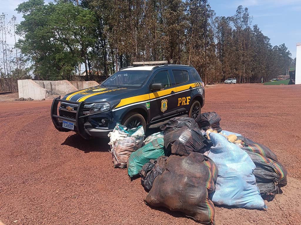 PRF apreende mais de 460 Kg de coca&iacute;na e skunk durante fiscaliza&ccedil;&atilde;o na BR-262