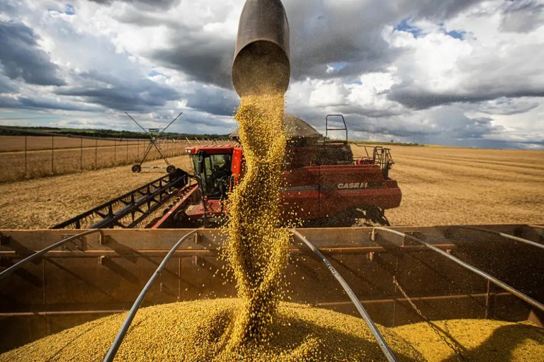 Mato Grosso do Sul amplia &aacute;rea produtiva e produtividade e chega a 27,79 milh&otilde;es de toneladas de gr&atilde;os na safra 24/25