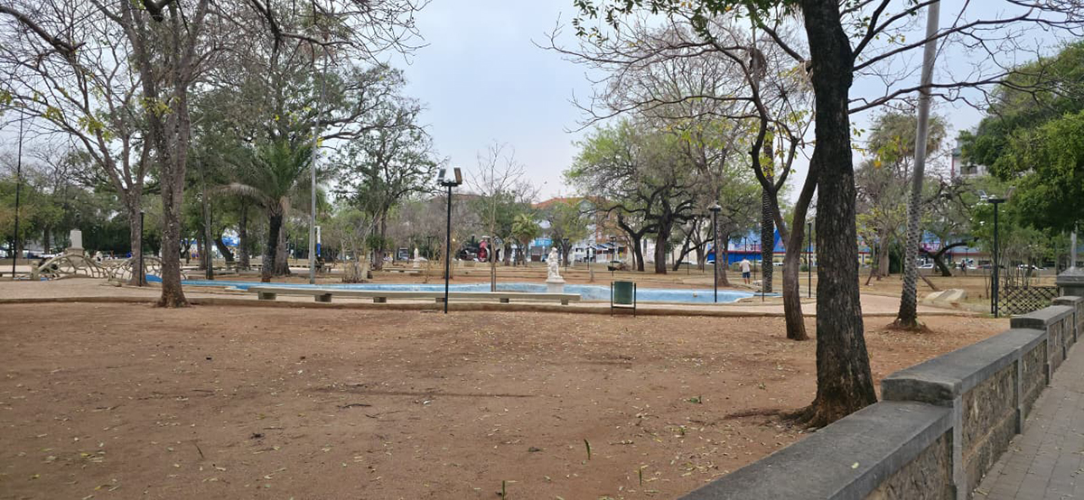 Bira solicita vistoria t&eacute;cnica para verificar &lsquo;sa&uacute;de das &aacute;rvores&rsquo; no Jardim da Independ&ecirc;ncia