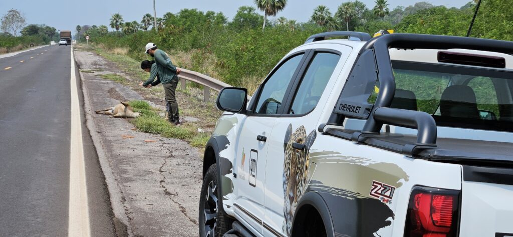 Pr&oacute;ximas semanas t&ecirc;m datas decisivas no avan&ccedil;o de medidas para prote&ccedil;&atilde;o da biodiversidade