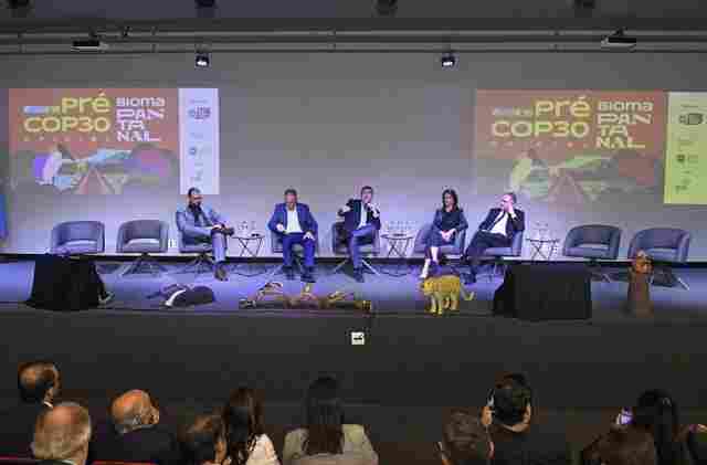 Para preserva&ccedil;&atilde;o do Pantanal, MS e MT se unem e apontam prioridades na Pr&eacute;-COP30