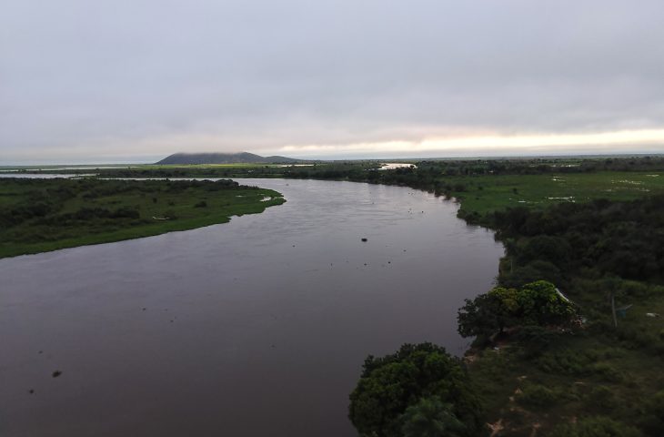 Com exemplo de MS na preserva&ccedil;&atilde;o do Pantanal, Governo Federal sanciona estatuto para o bioma